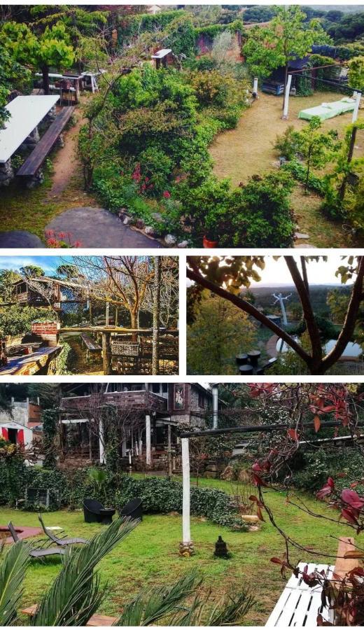 Mare Maravella Costa Brava Nature Tordera Εξωτερικό φωτογραφία